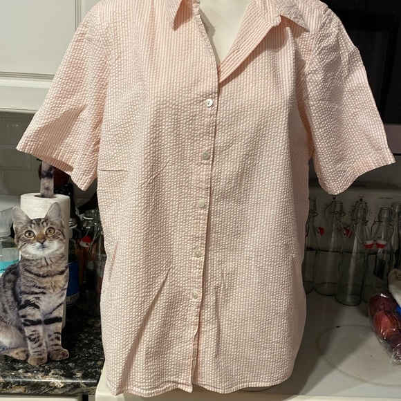B  LL Bean casual pink stripe button front short sleeve plus size shirt one 1X - Picture 1 of 5